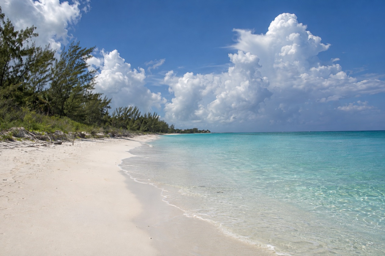 A beach on Grand Bahama in summer