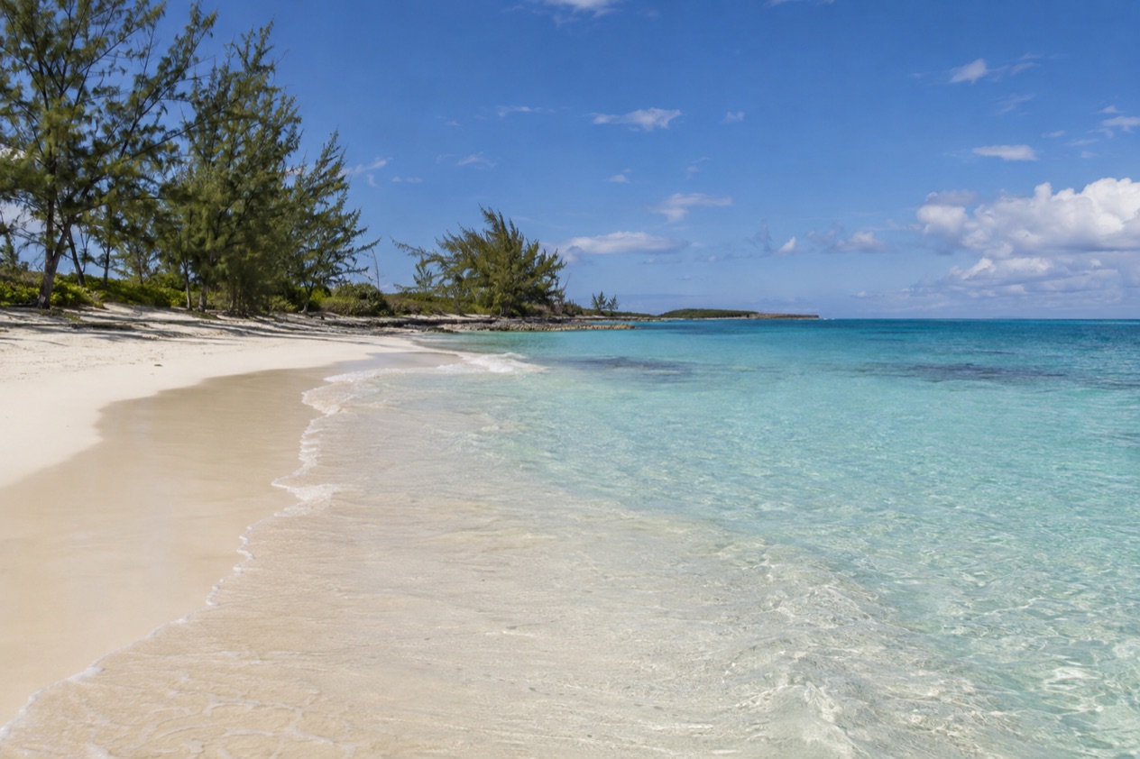 A beach on Grand Bahama