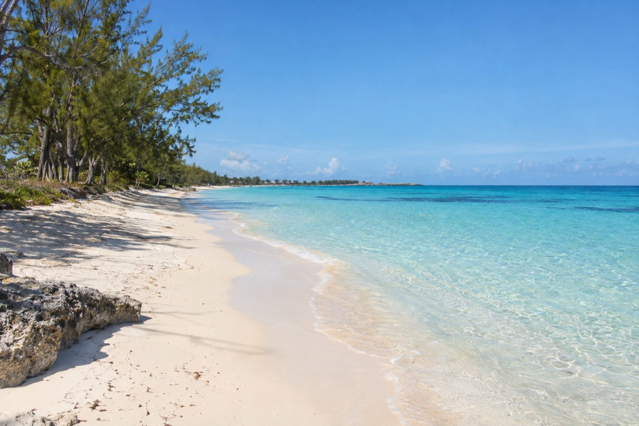 A beach on Grand Bahama in winter
