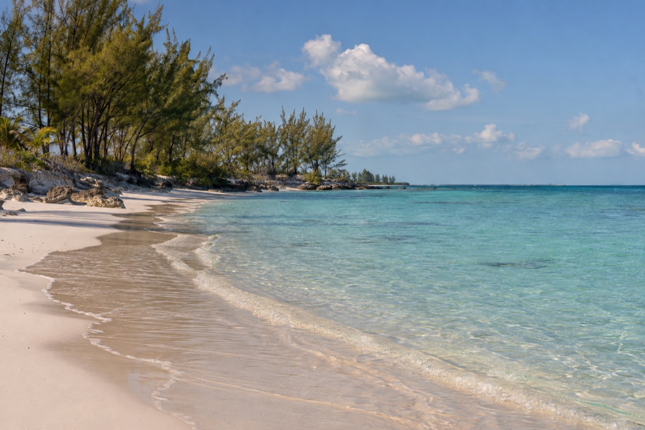 A beach on Grand Bahama in spring