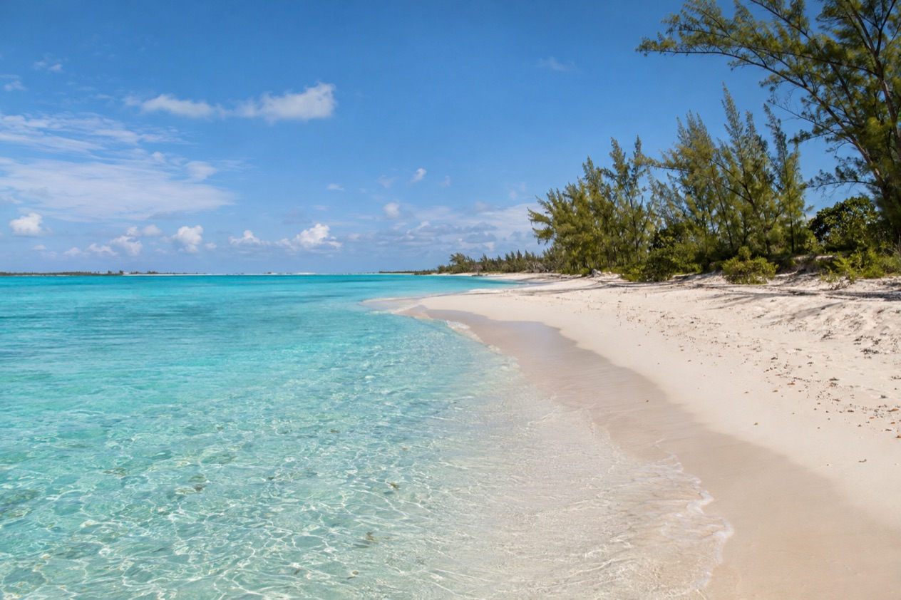 A beach on Grand Bahama