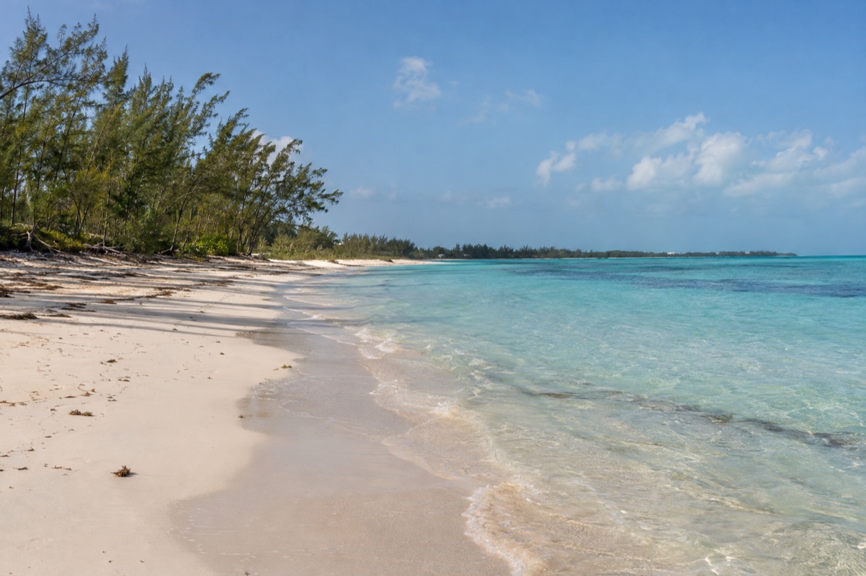 A beach on Grand Bahama