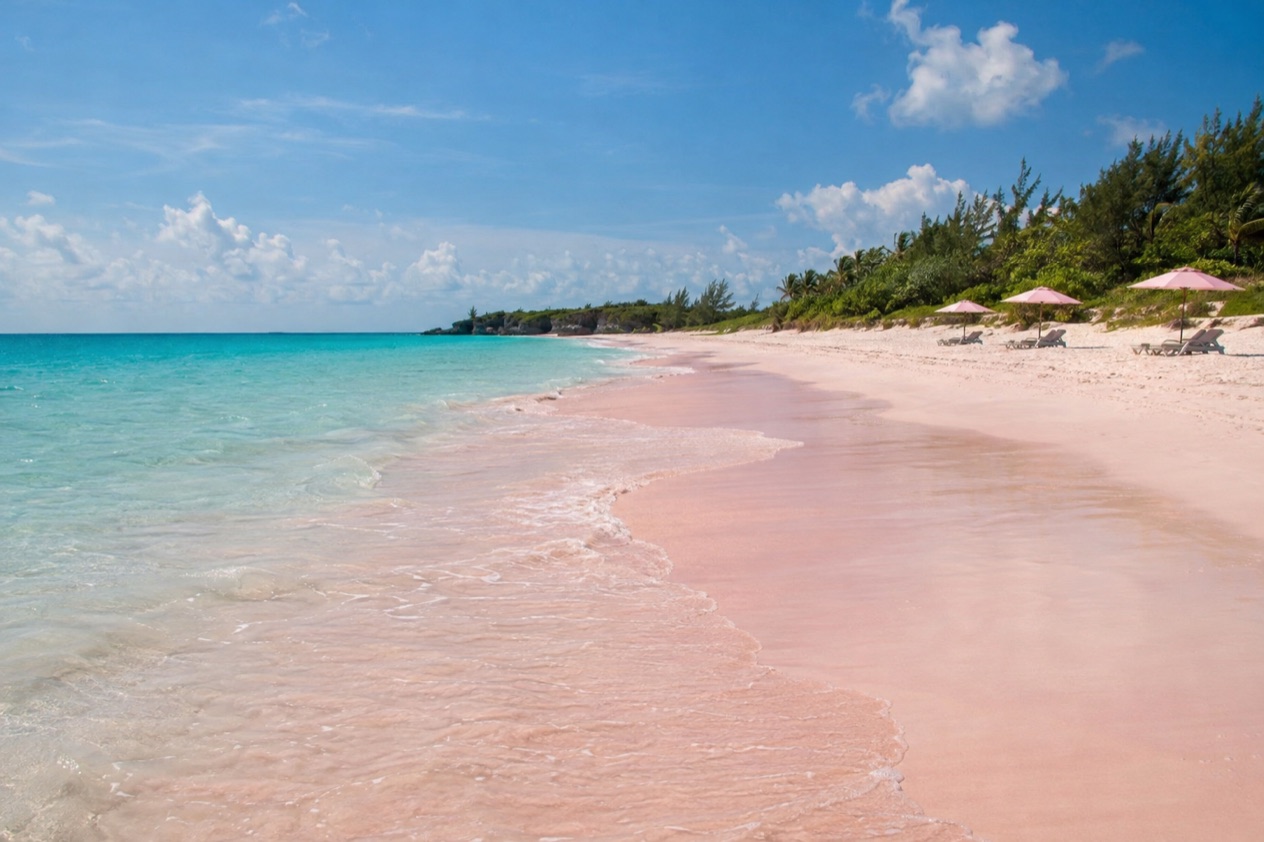 The pink sand of Harbour Island