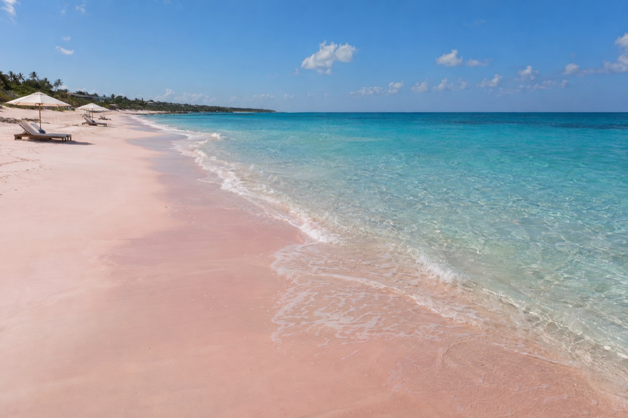 The pink sand of Harbour Island