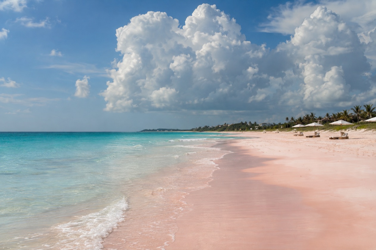 The pink sand of Harbour Island in summer