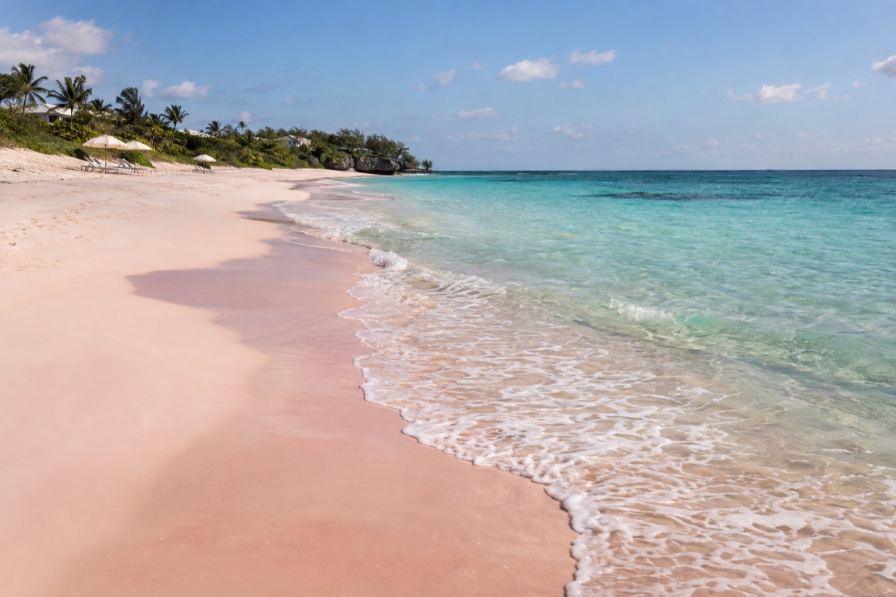 The pink sand of Harbour Island in spring