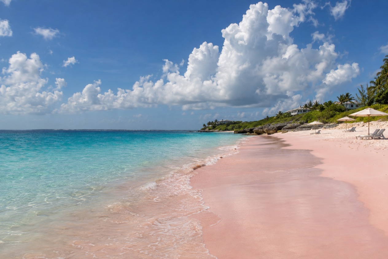 The pink sand of Harbour Island in summer