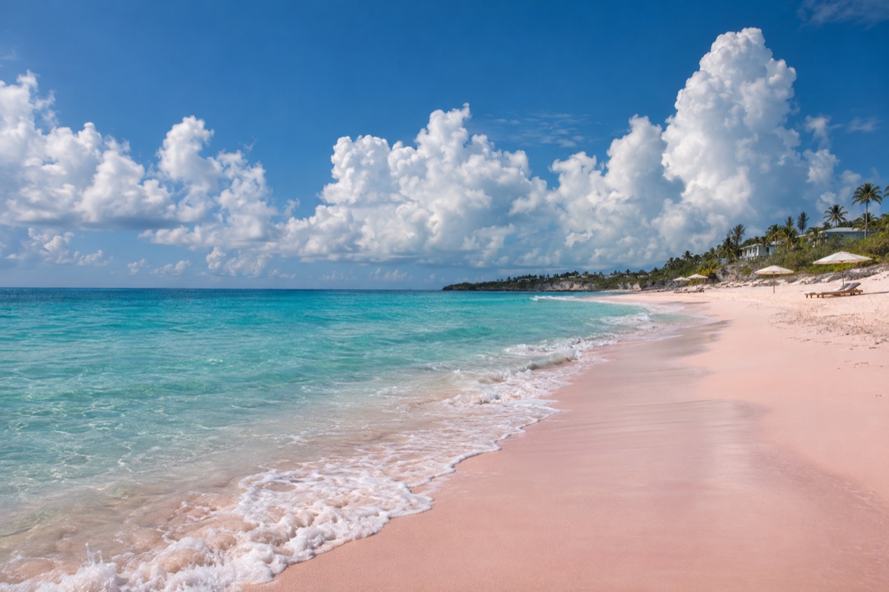 The pink sand of Harbour Island in summer