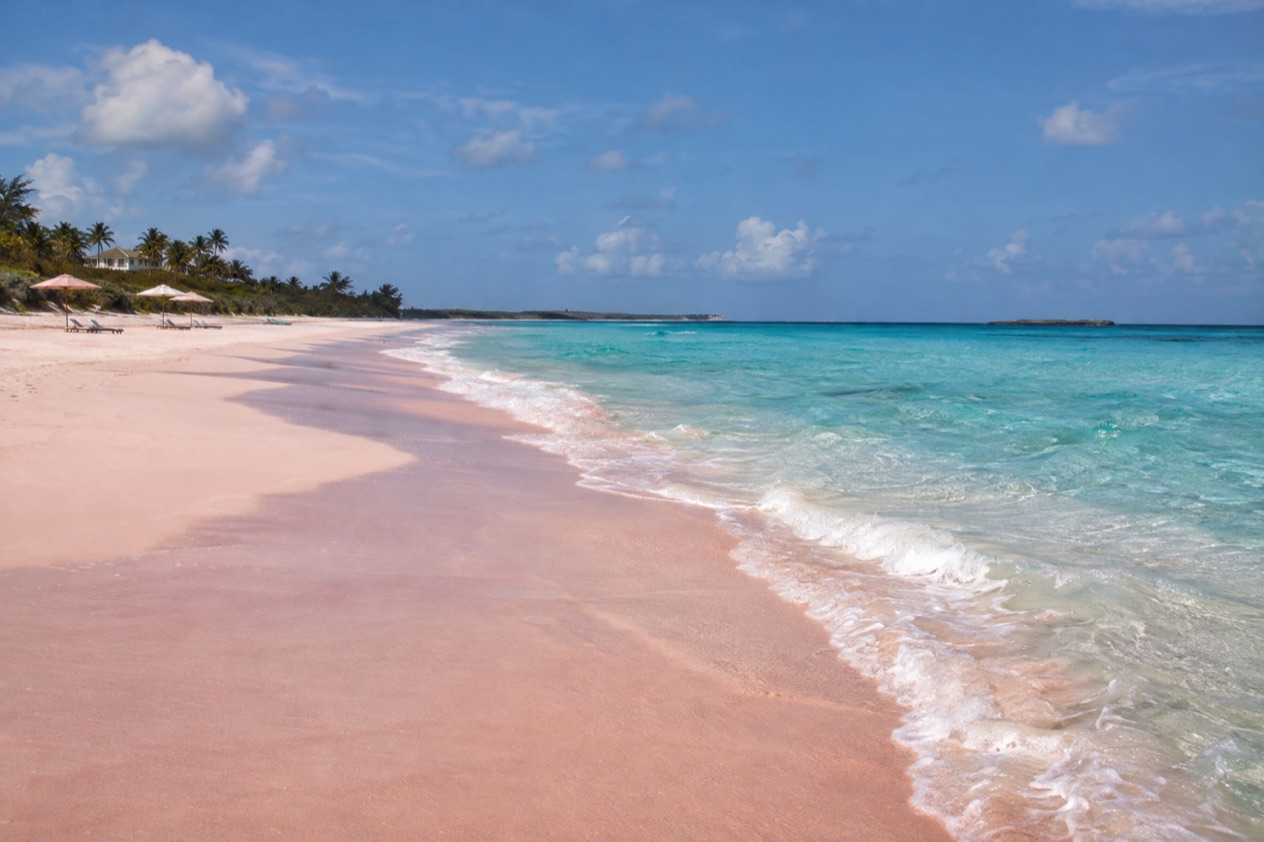The pink sand of Harbour Island
