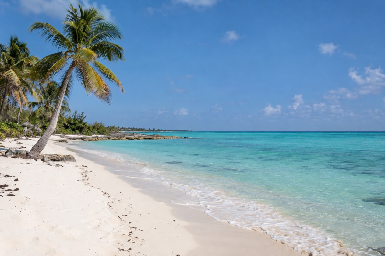 A beach on San Salvador