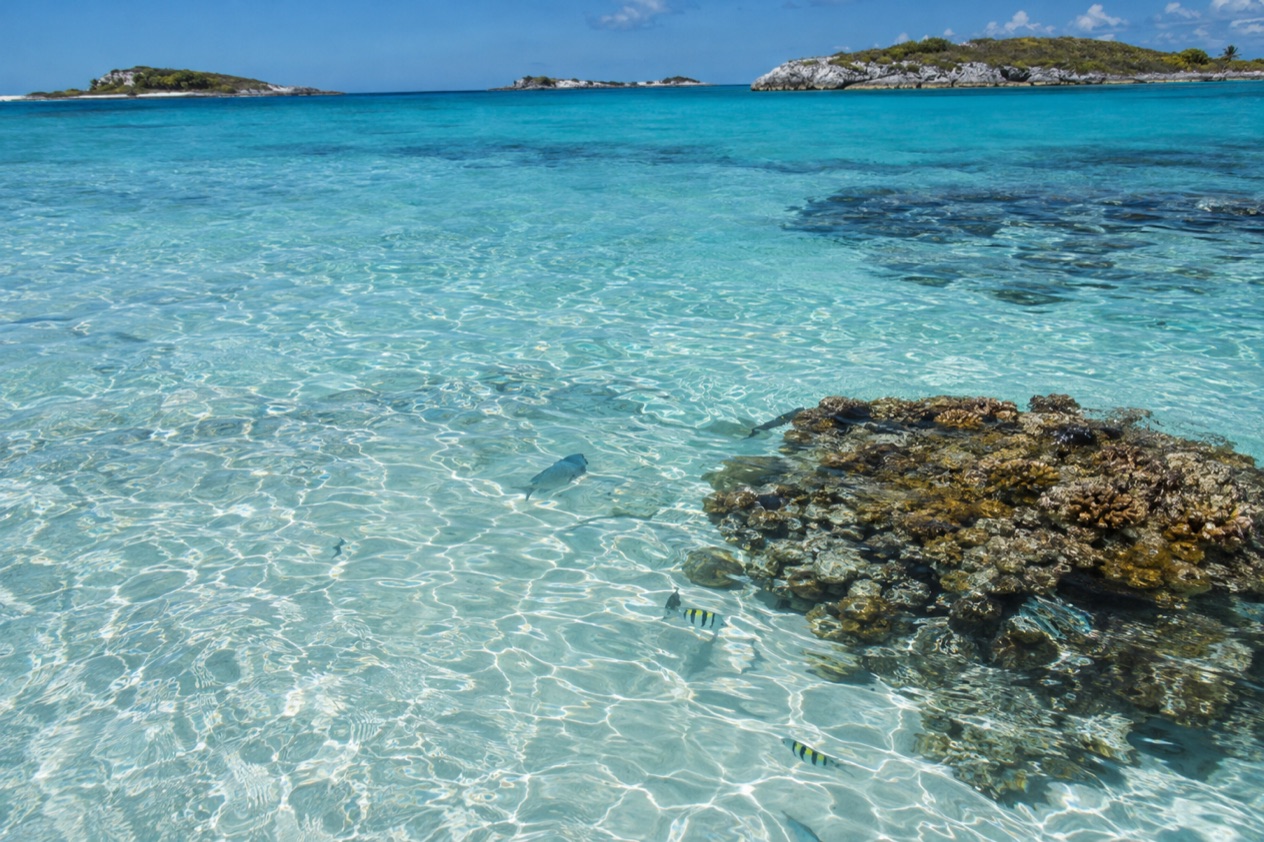 Clear water for snorkeling