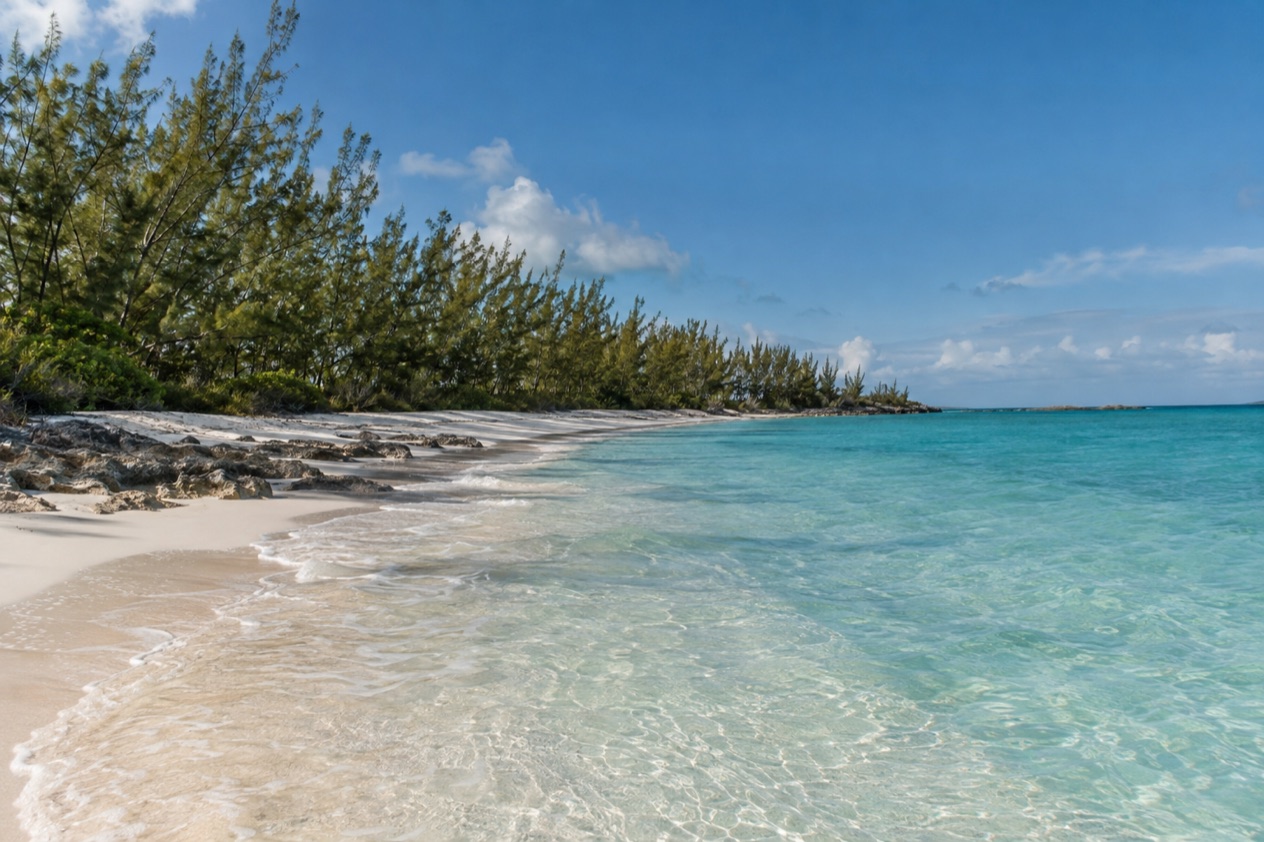A beach on Grand Bahama