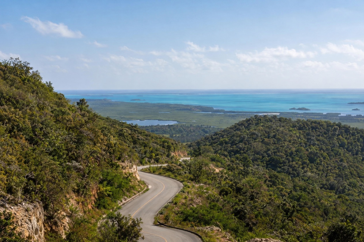 A road toward the coast