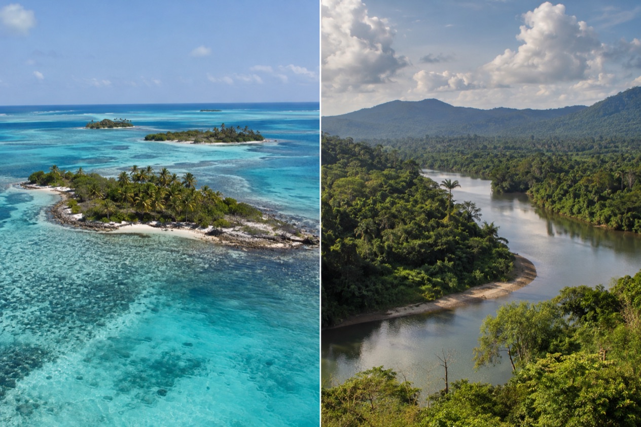 The coast and the jungle