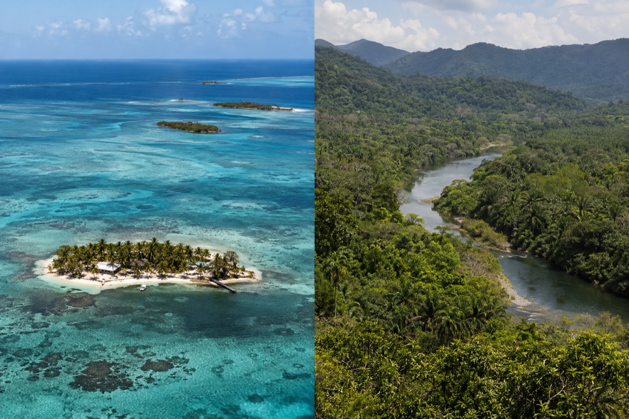 The coast and the jungle