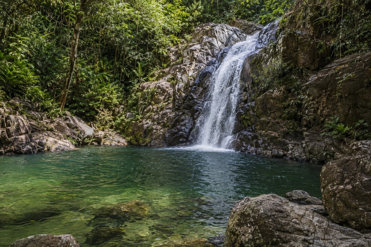 A waterfall in the forest