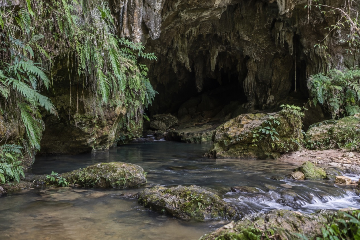 A cave in Belize