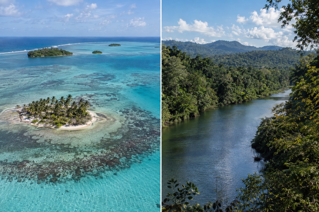 The coast and the jungle