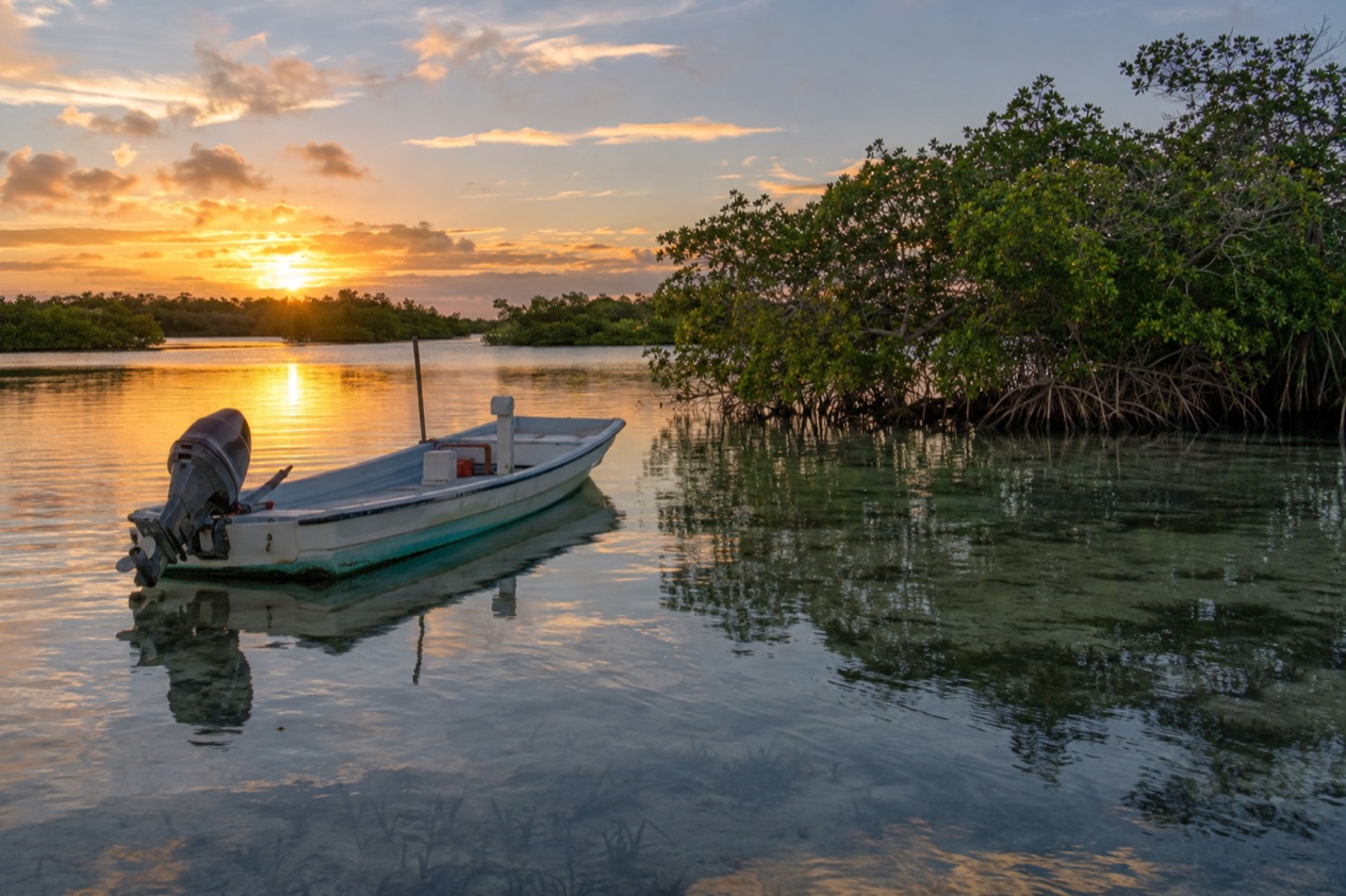 A boat on a flat