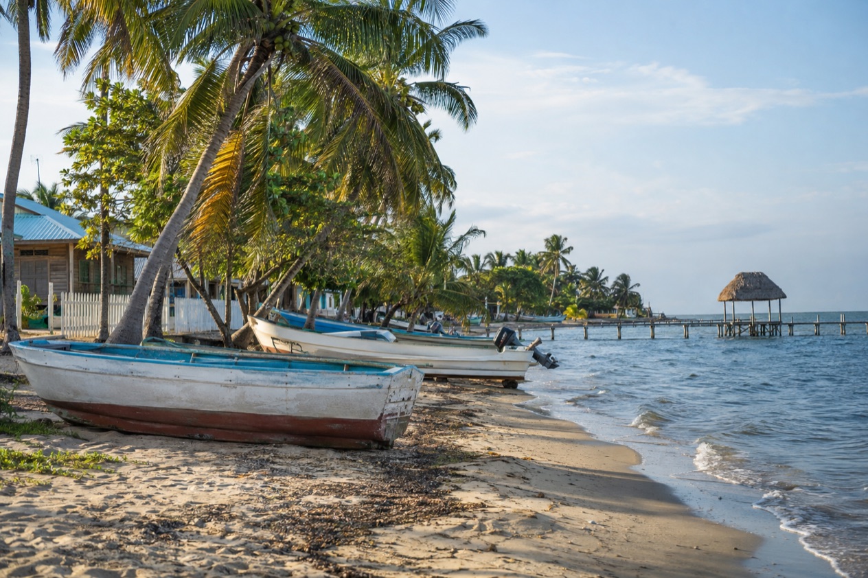 The beach at Hopkins