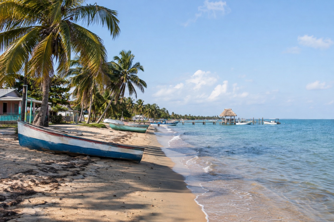The beach at Hopkins