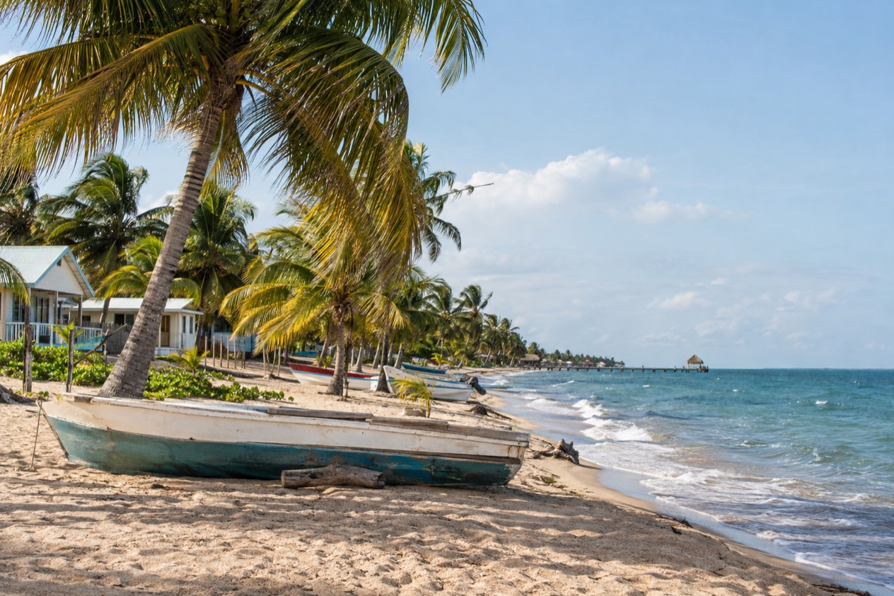 The beach at Hopkins