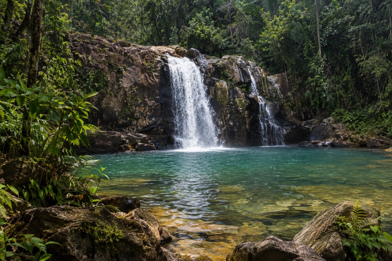 A jungle waterfall