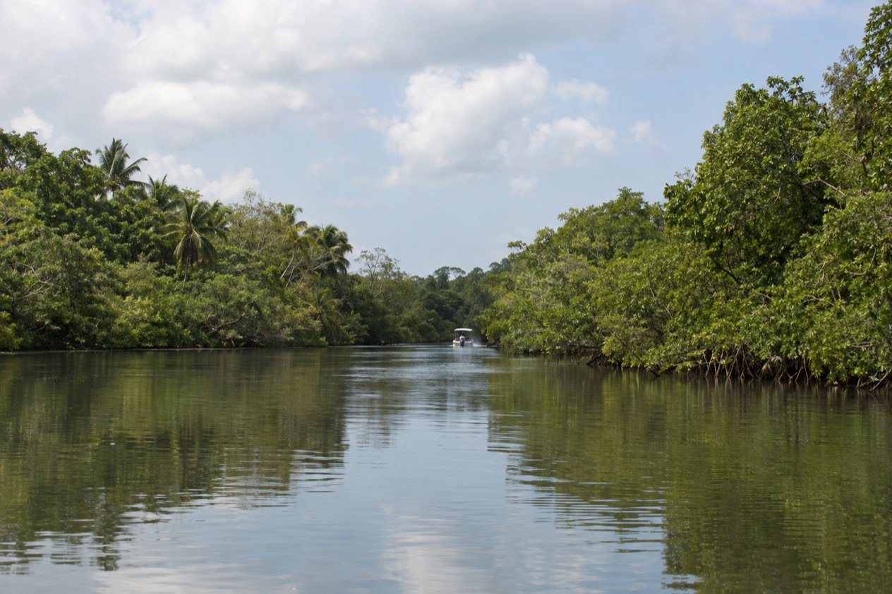 A river in southern Belize