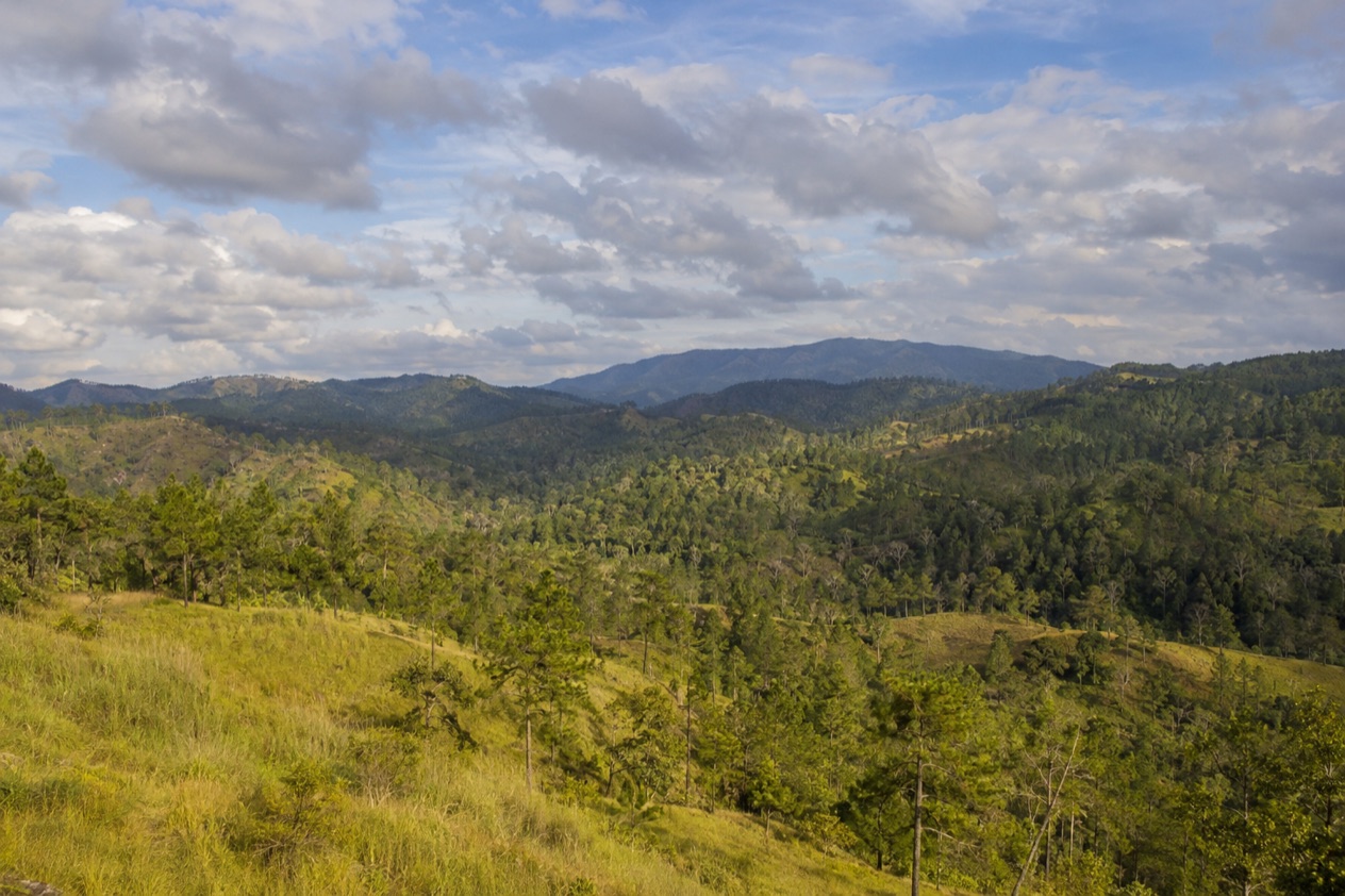 Pine hills in Belize