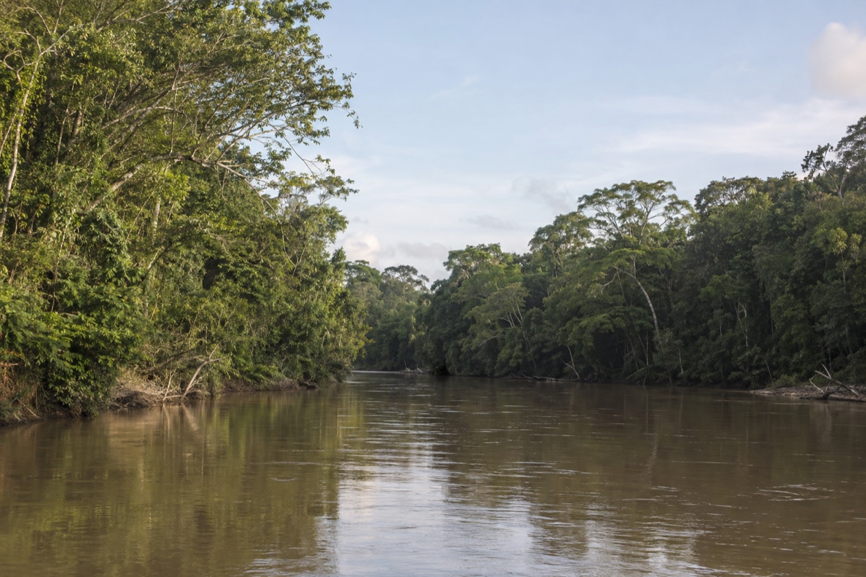 A river in northern Belize
