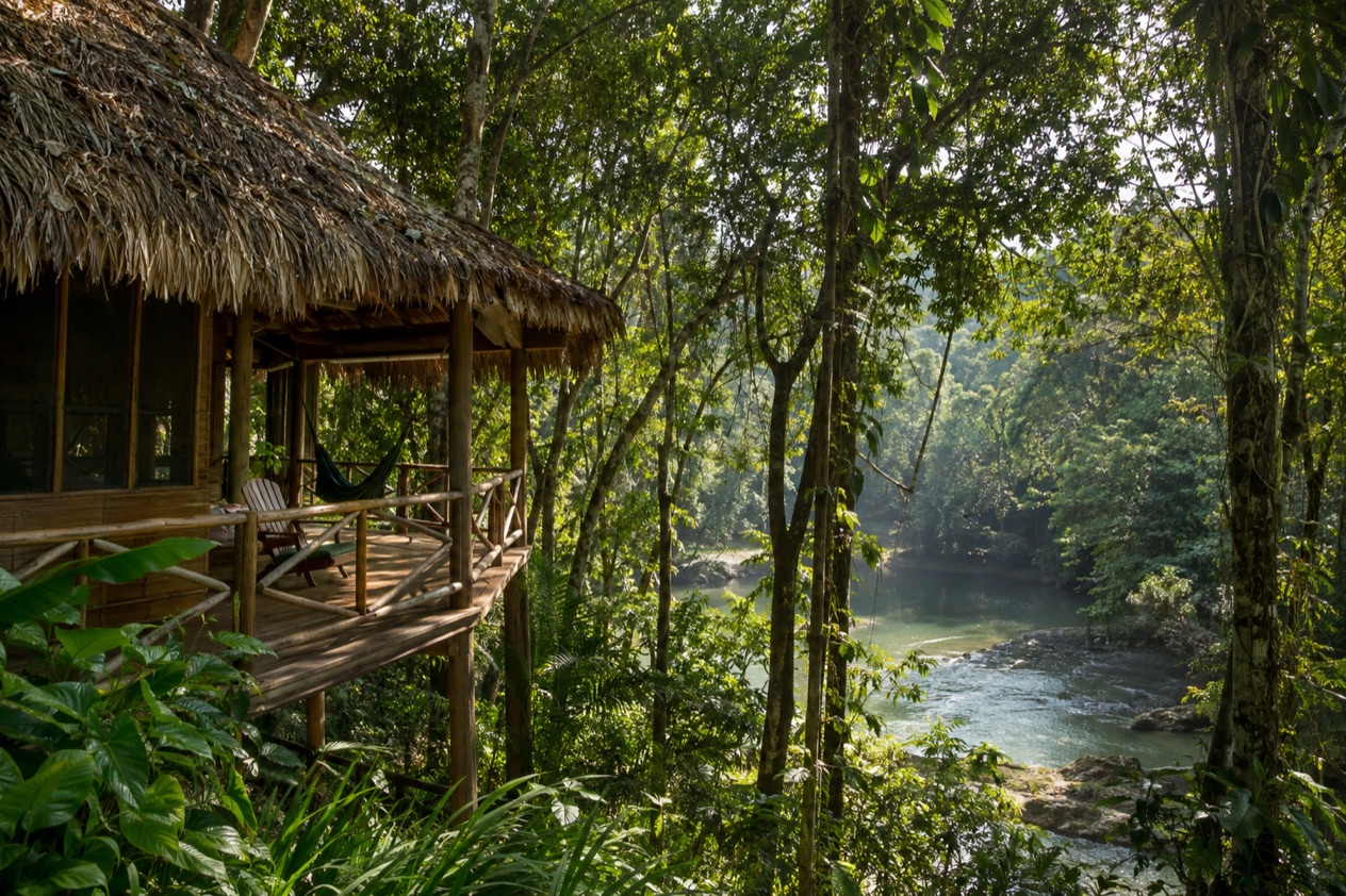 A jungle lodge