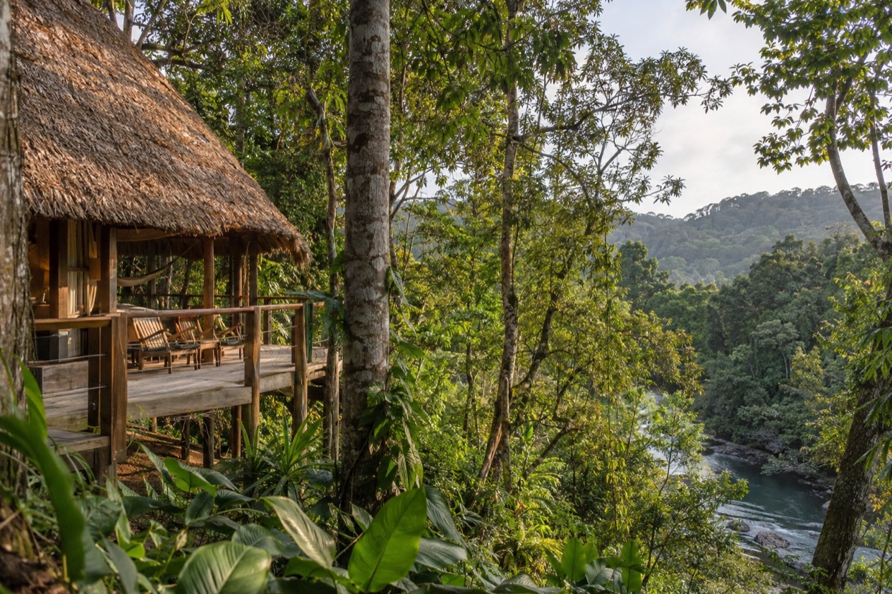 A jungle lodge