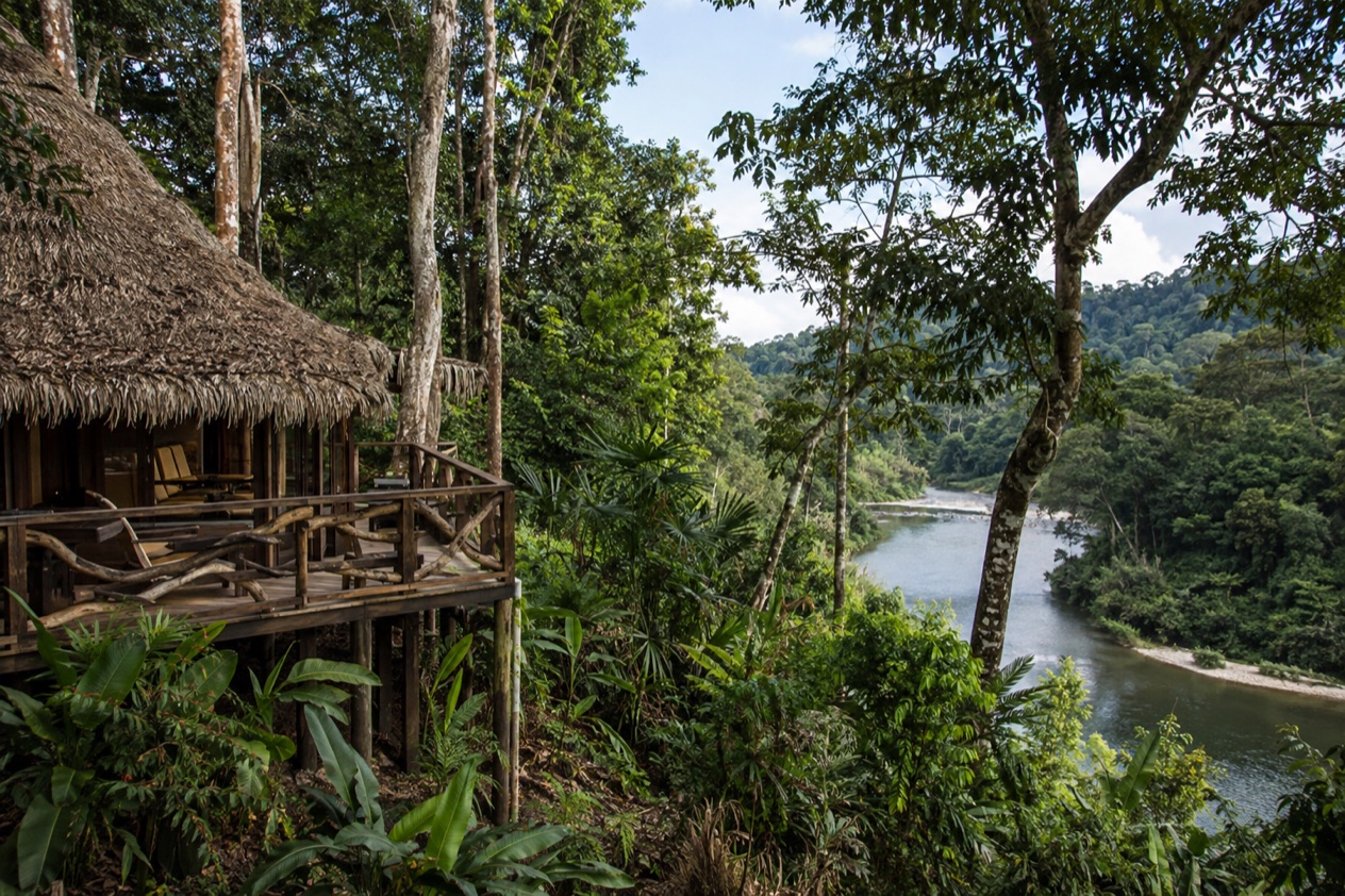 A jungle lodge