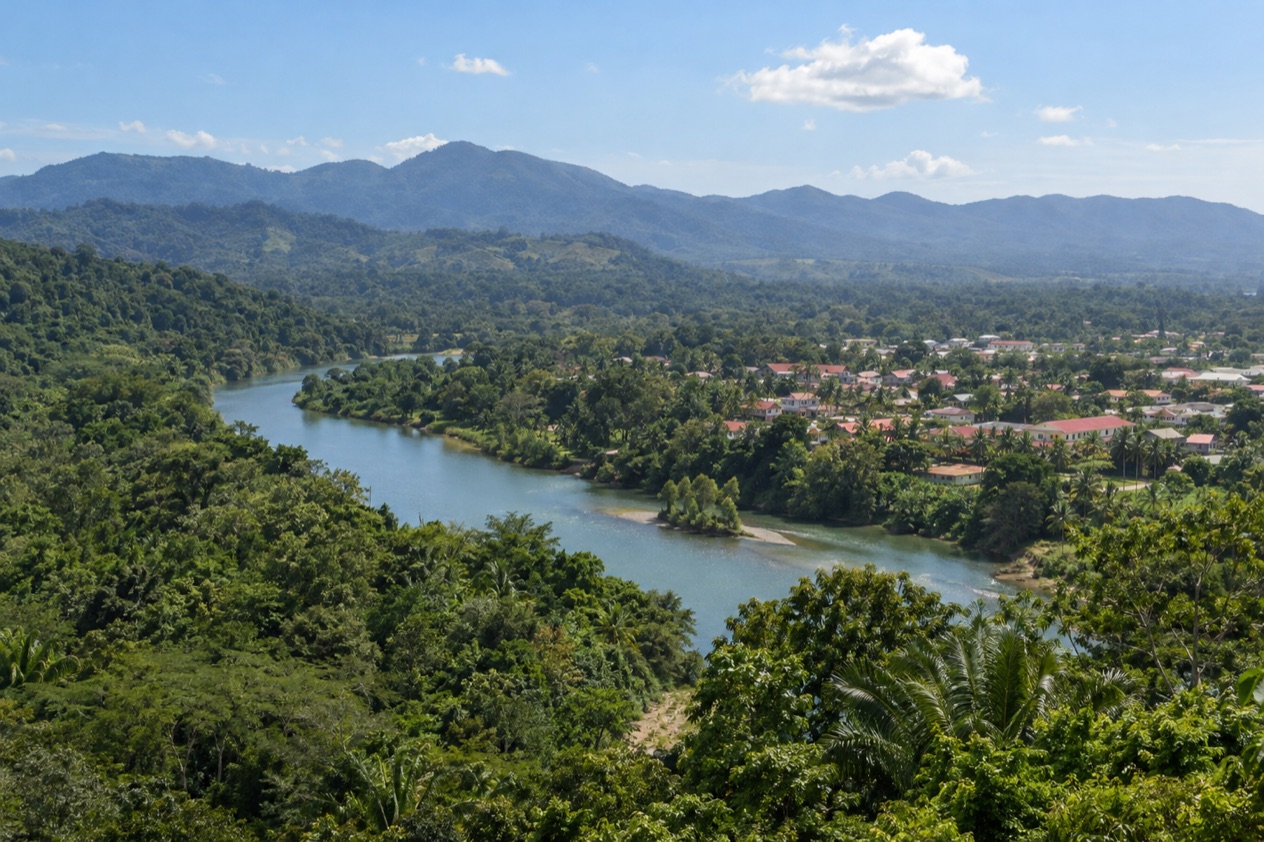 The hills around San Ignacio in spring