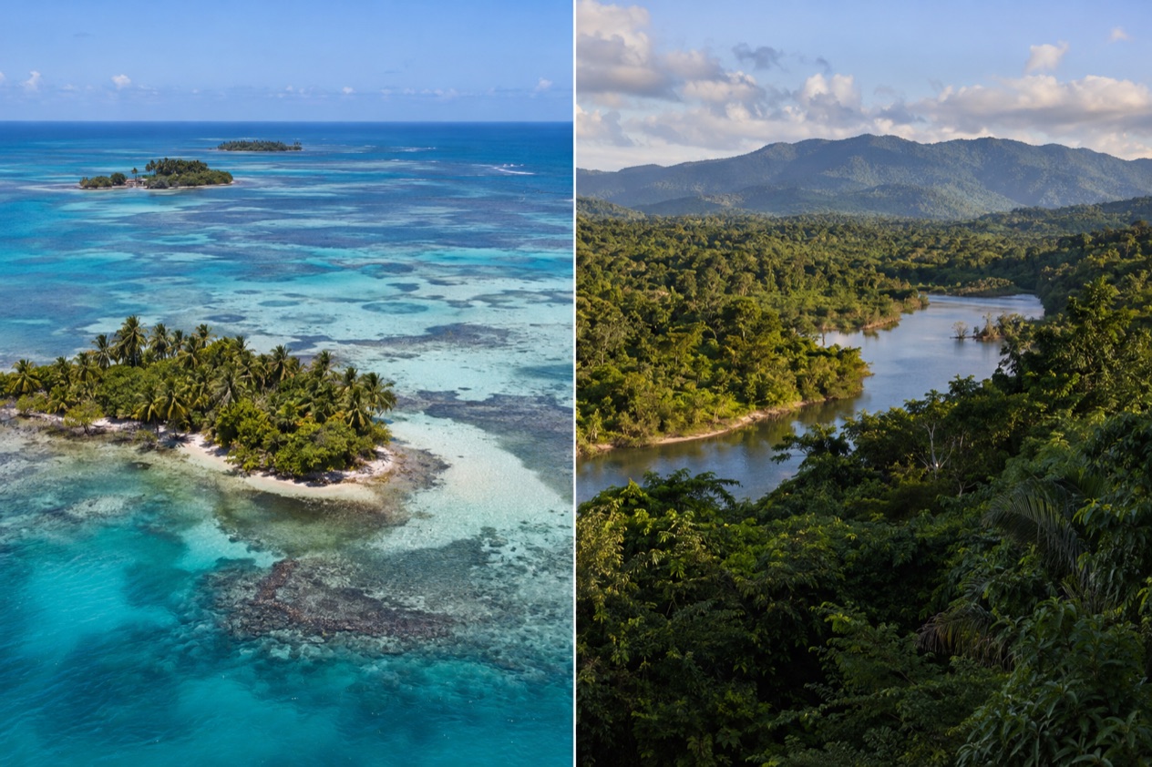 The coast and the jungle