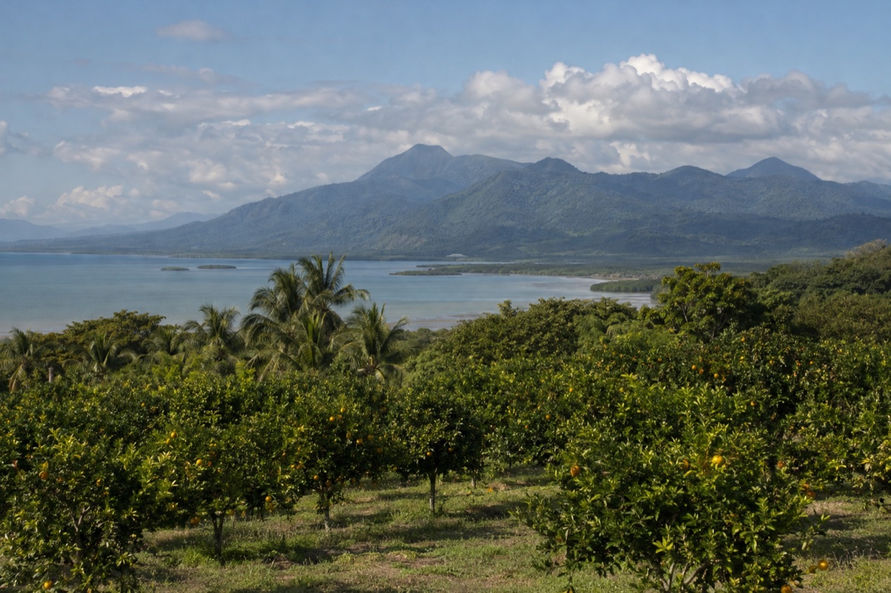 The Stann Creek coast