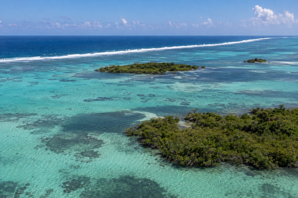 The barrier reef and cayes of Belize