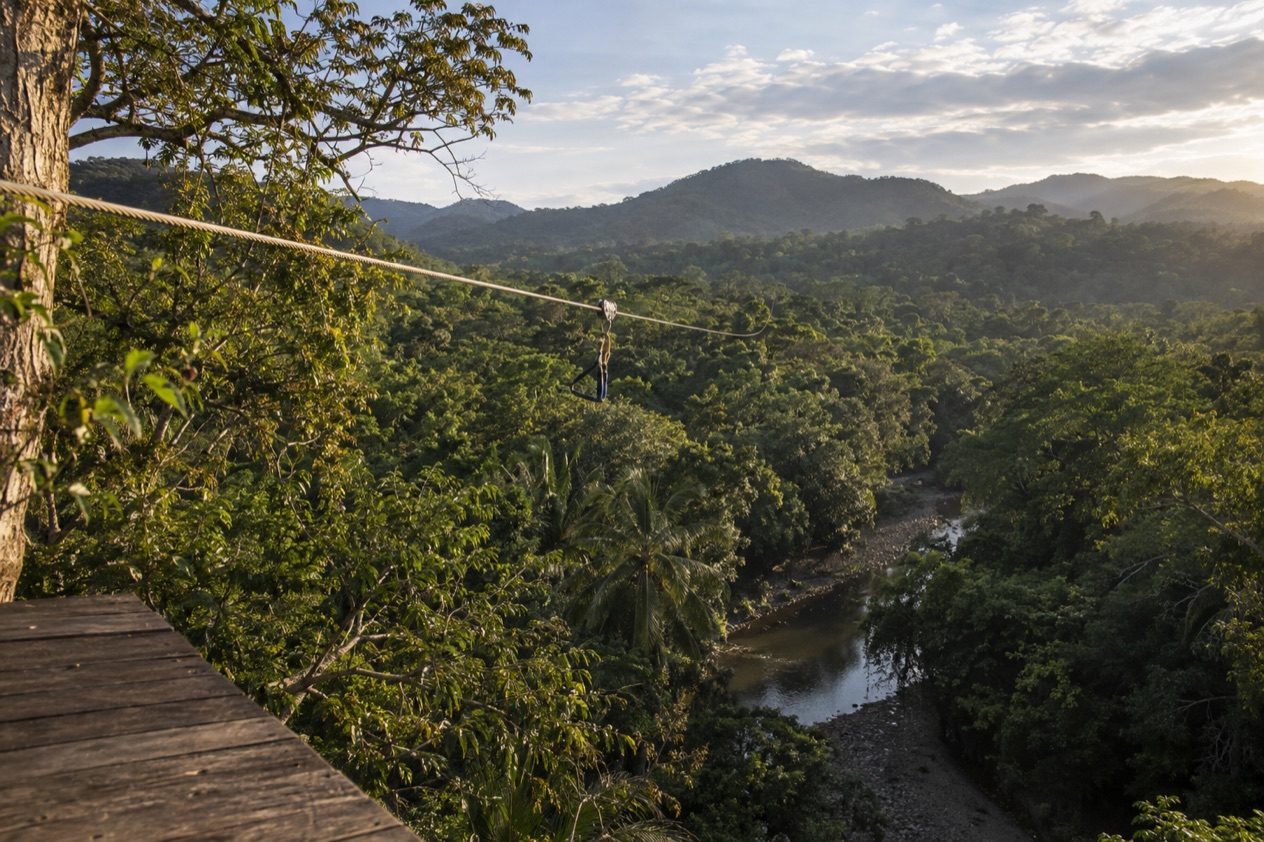 A zip line in the forest