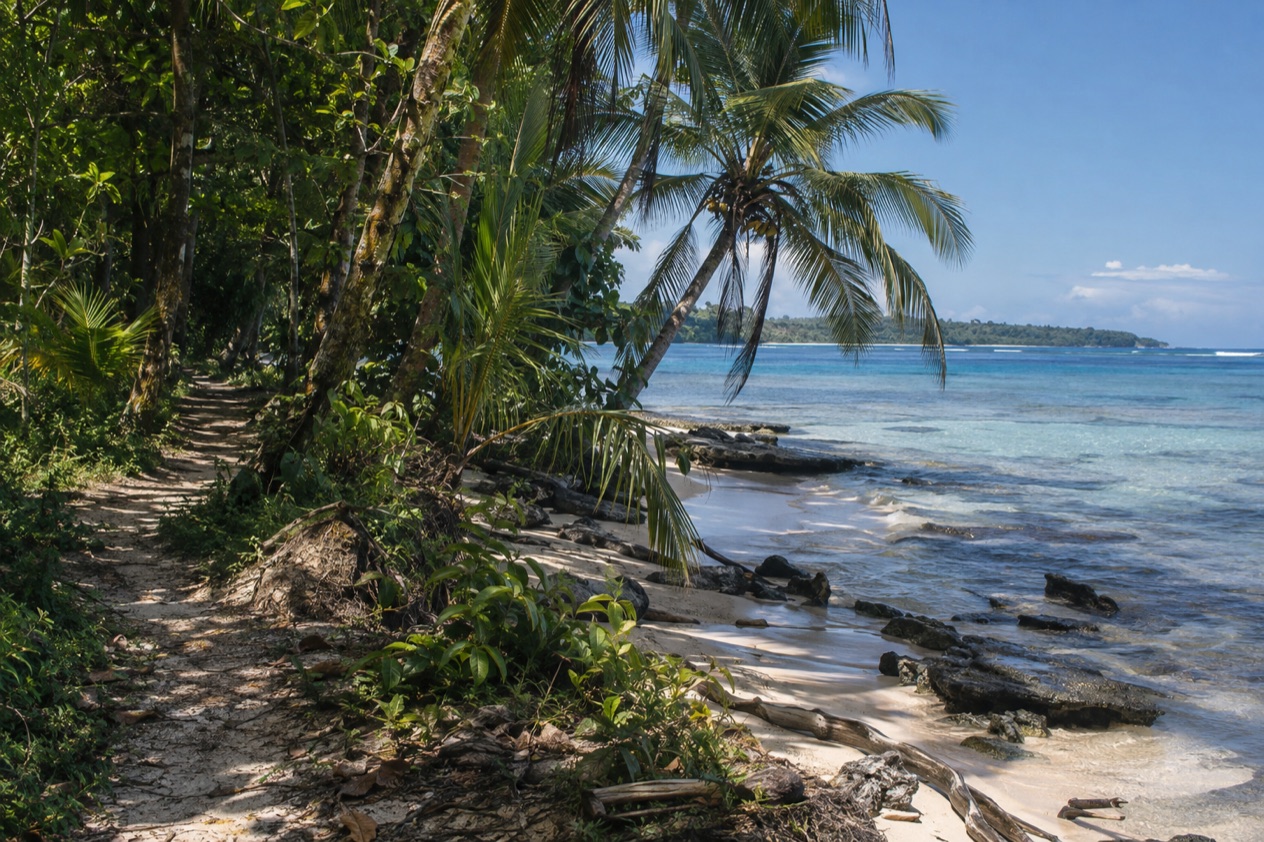 The shore trail at Cahuita
