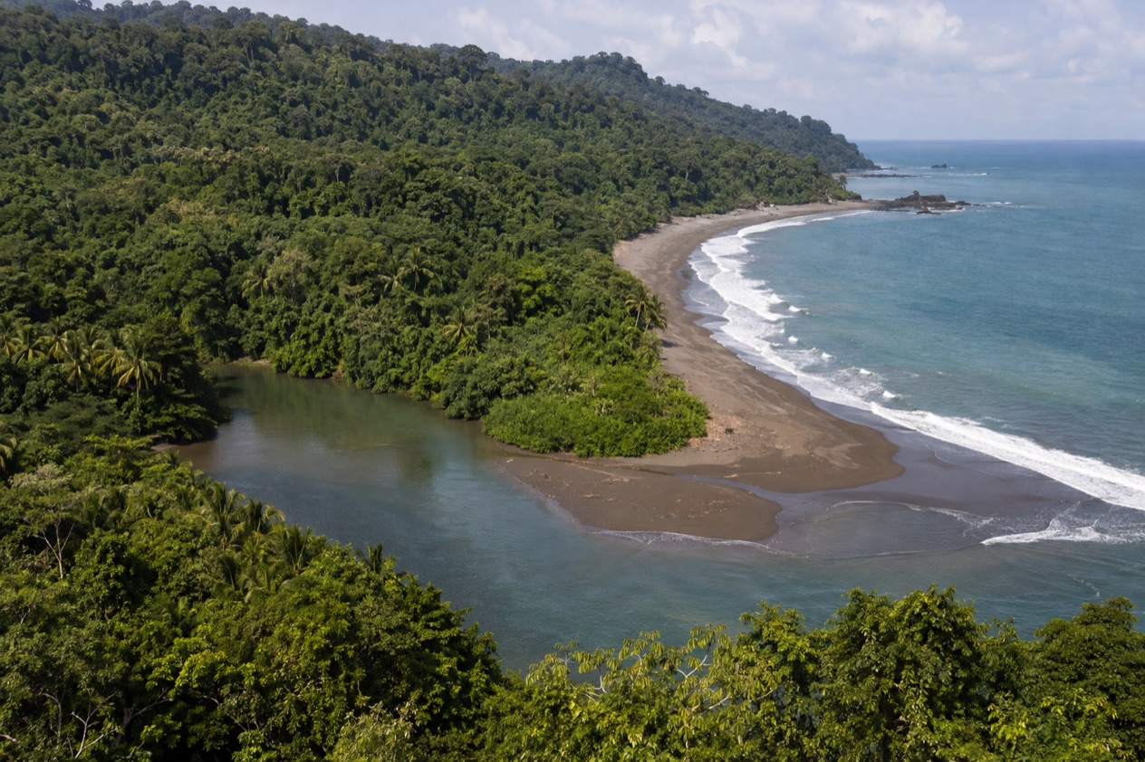 Rainforest meeting the beach on the Osa Peninsula