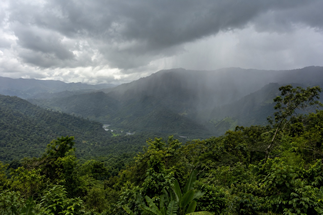 The green season over the hills