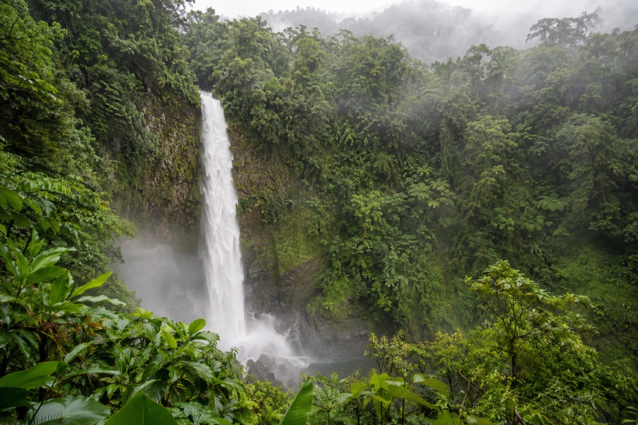 The La Fortuna Waterfall