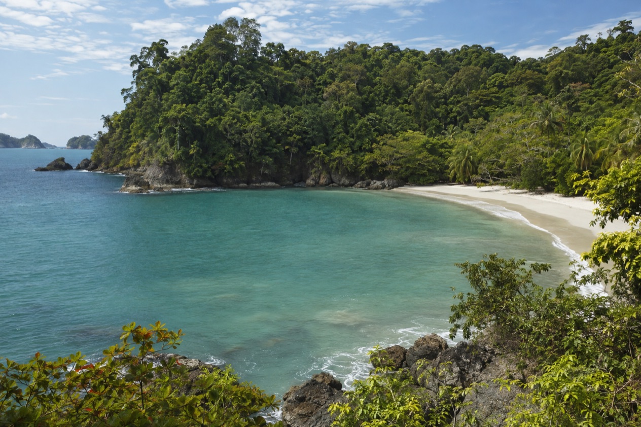 A small cove below the forest at Manuel Antonio