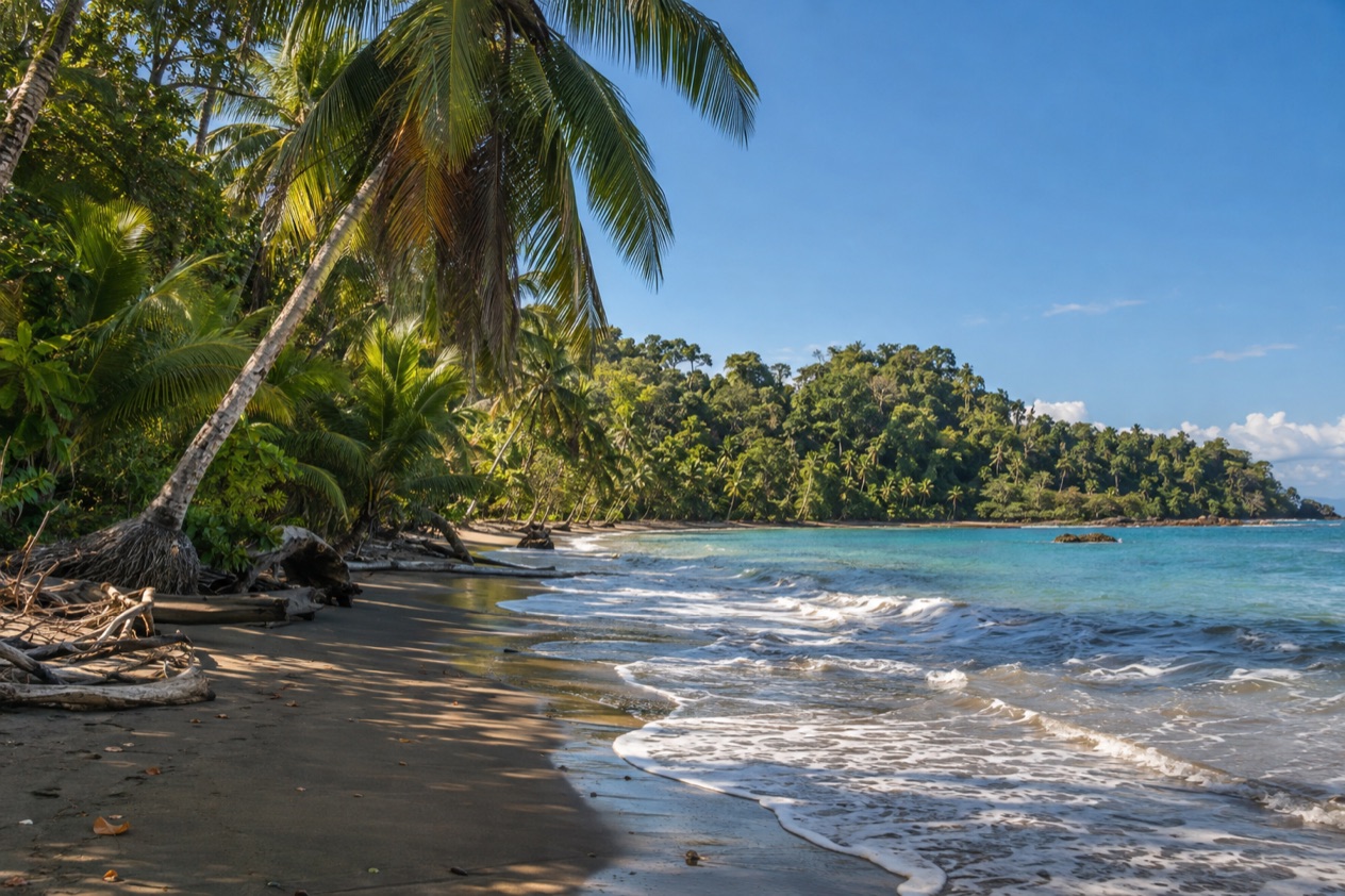A palm-lined Caribbean beach near Puerto Viejo in the dry season