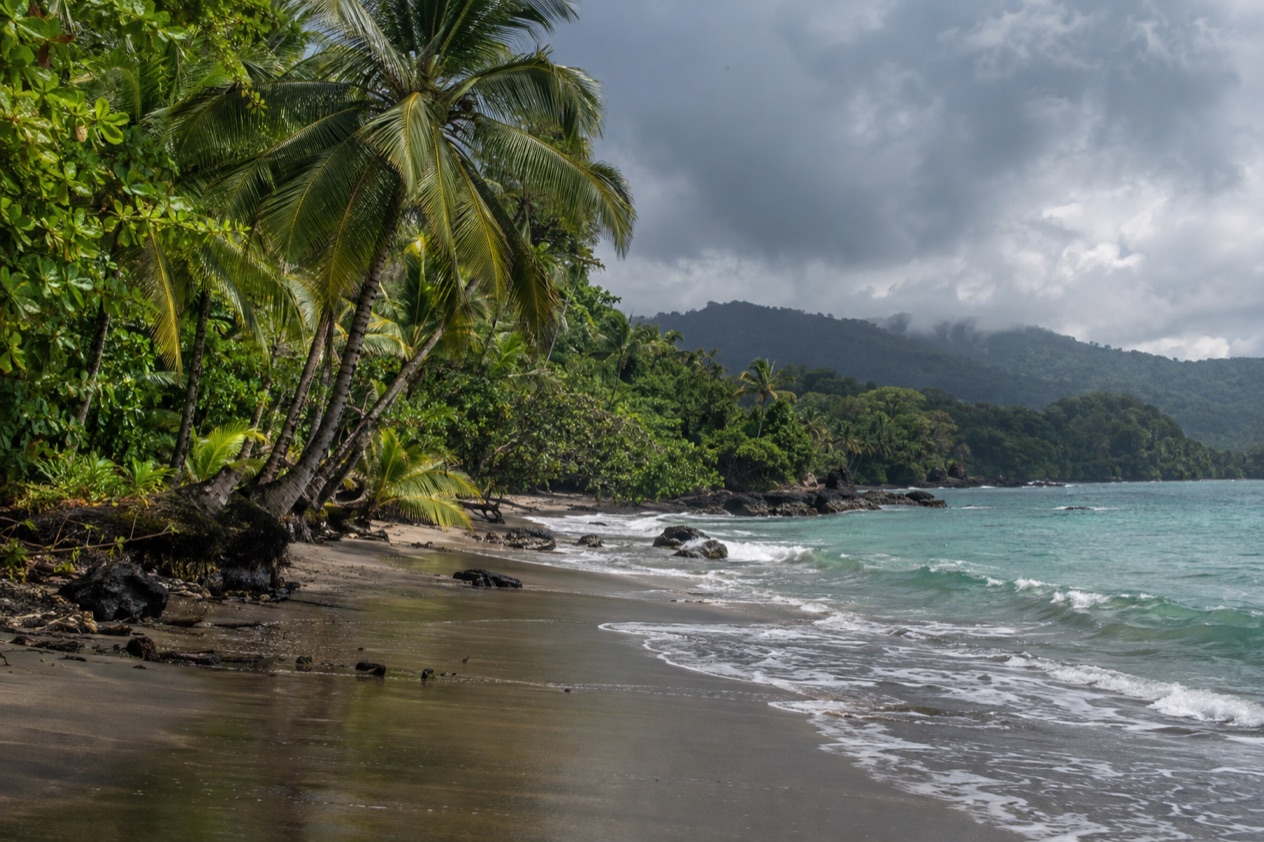 A palm-lined Caribbean beach near Puerto Viejo in the rainiest months