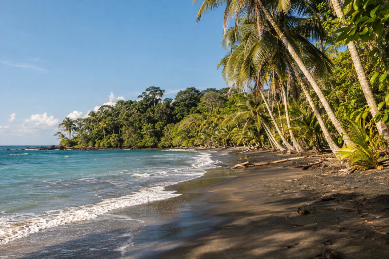 A palm-lined Caribbean beach near Puerto Viejo in the dry season