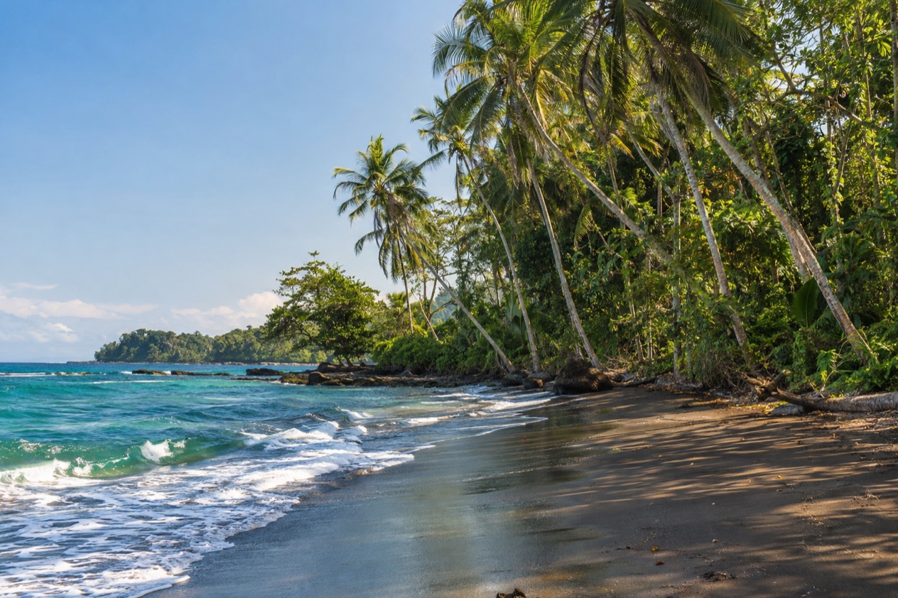 A palm-lined Caribbean beach near Puerto Viejo in the dry season