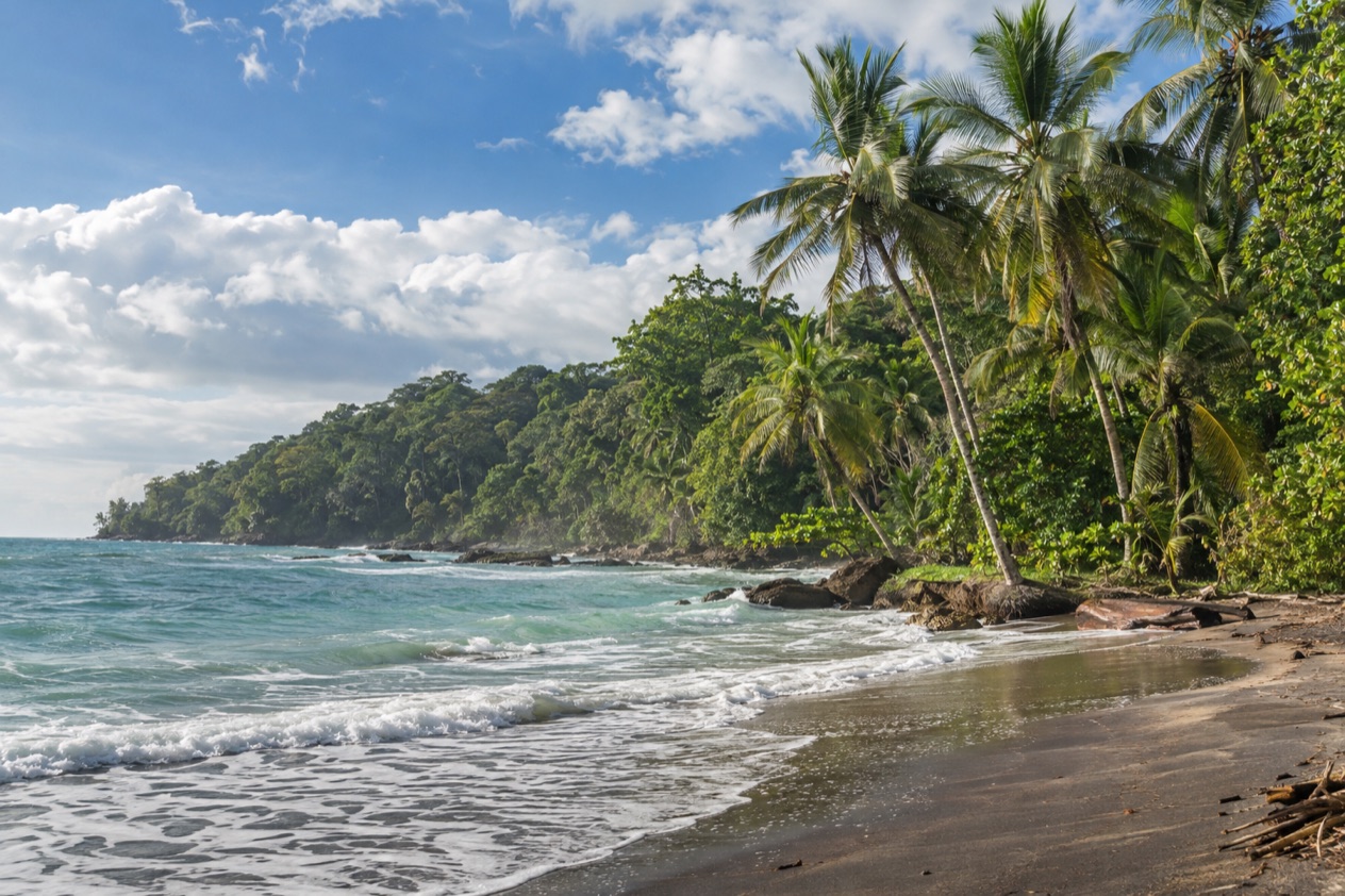 A palm-lined Caribbean beach near Puerto Viejo in the green season