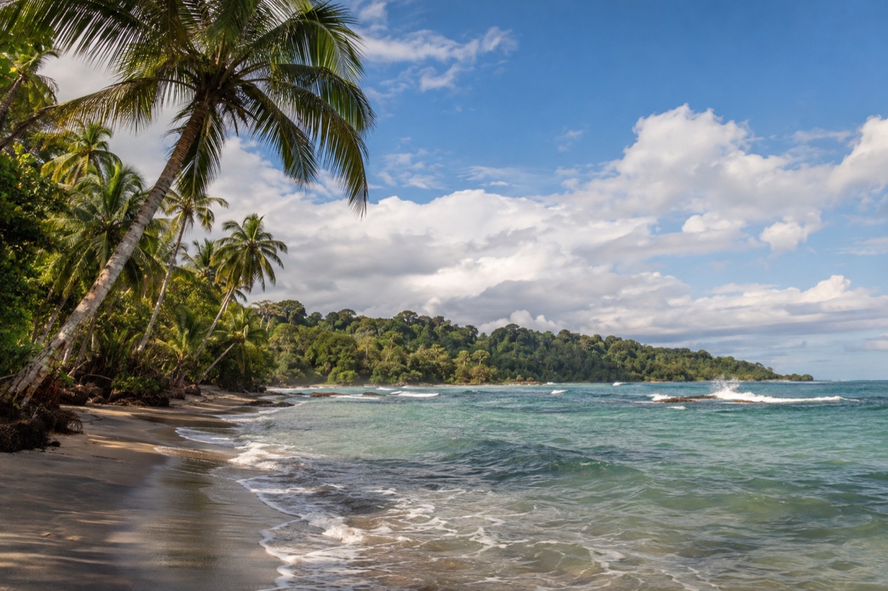 A palm-lined Caribbean beach near Puerto Viejo in the green season