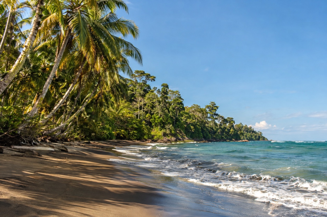 A palm-lined Caribbean beach near Puerto Viejo in the dry season